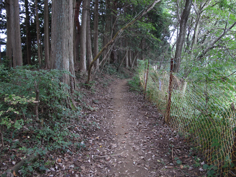 20161014hike (144)